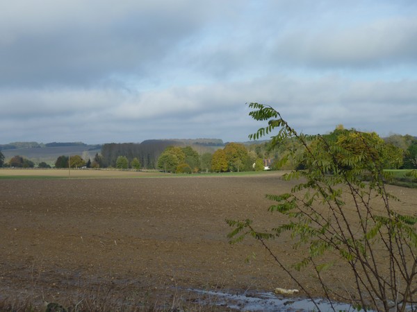 marcheurs/automne-2012-4.jpg