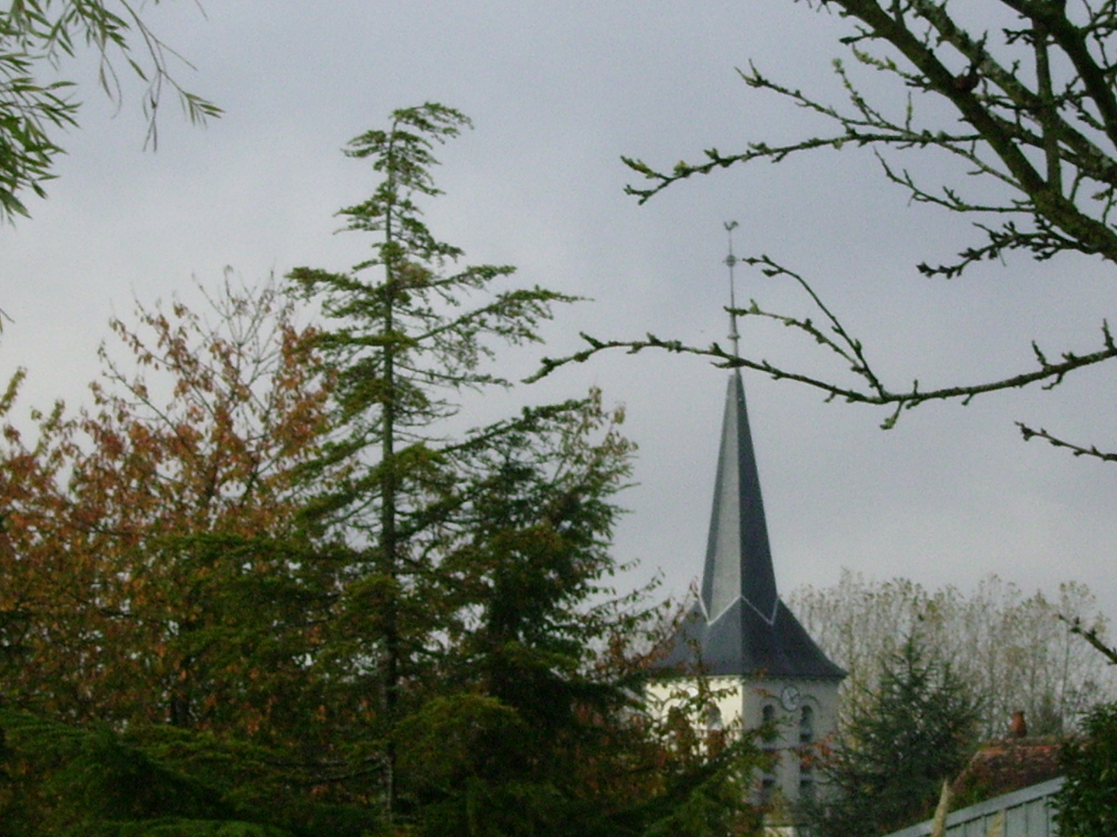 saisons/automne-clocher.JPG