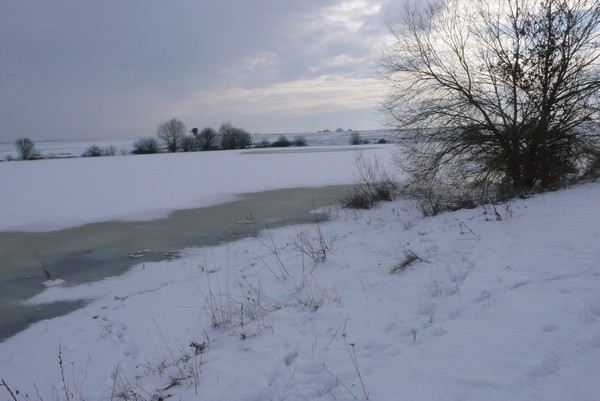 saisons/hiver-neige-campagne.jpg