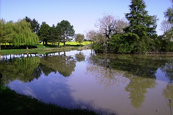 saisons/printemps-plan-d-eau.JPG